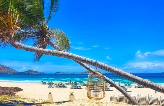 Travel to St. Martin