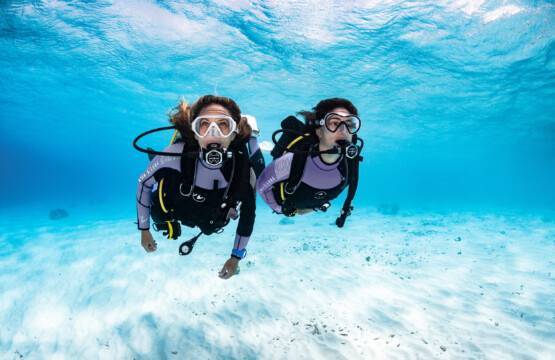 Scuba Diving in Saint Martin