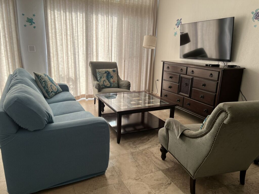 Living-room - 1 Sofa Bed