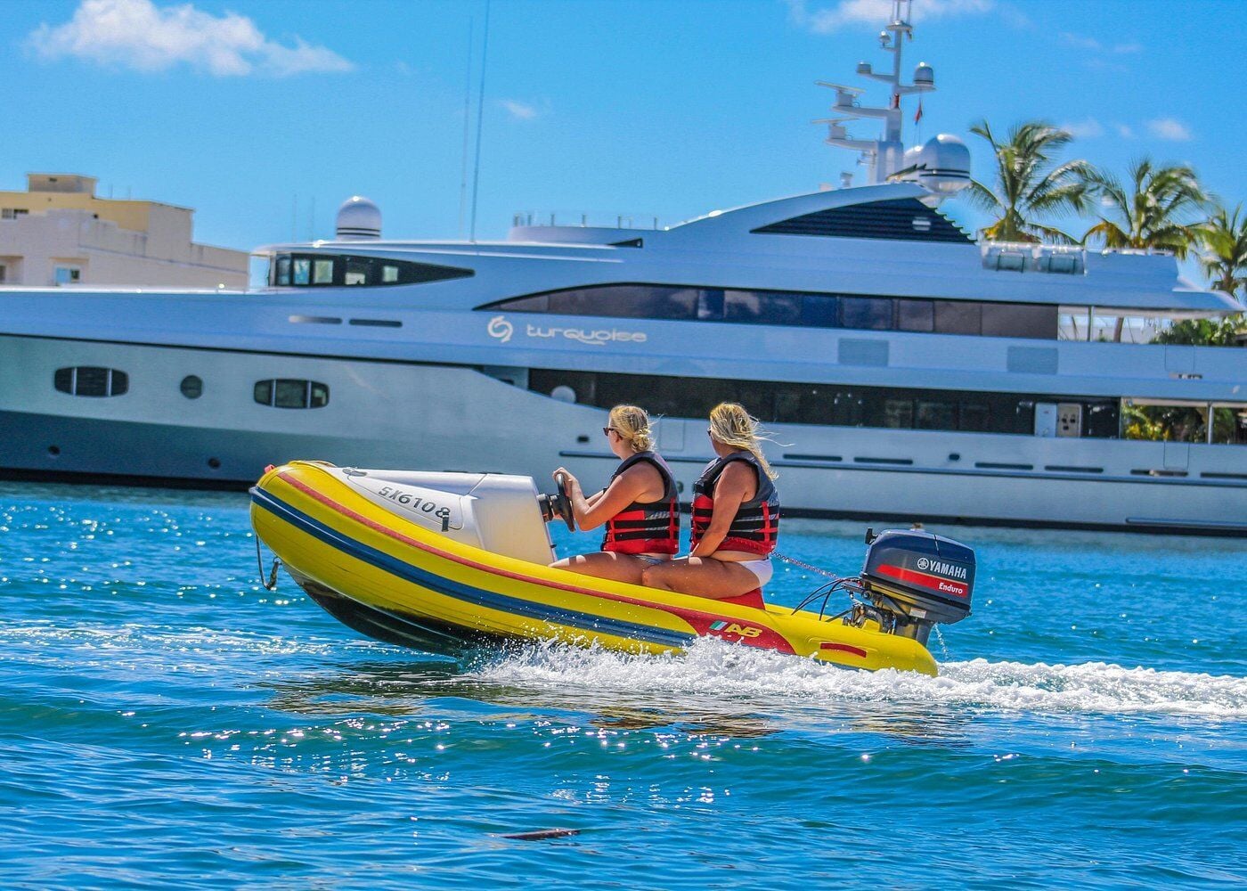 Rhino Safari mini speedboat tour from Simpson Bay