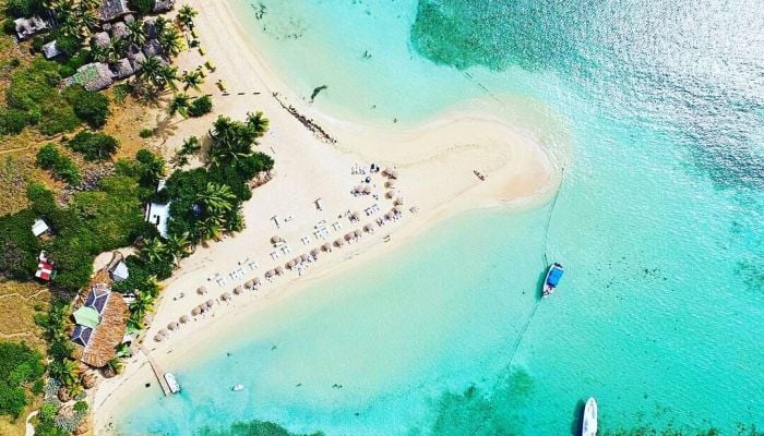 16402579_591535787706222_8994357298008386513_o